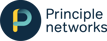 PN Logo Blue